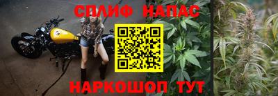 мдпв Рузаевка