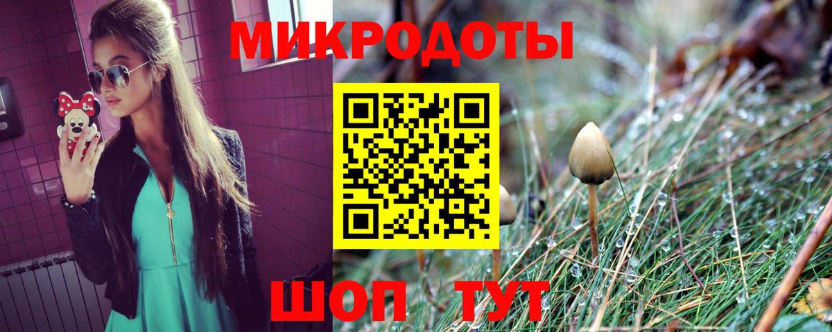 Галлюциногенные грибы MAGIC MUSHROOMS Полысаево
