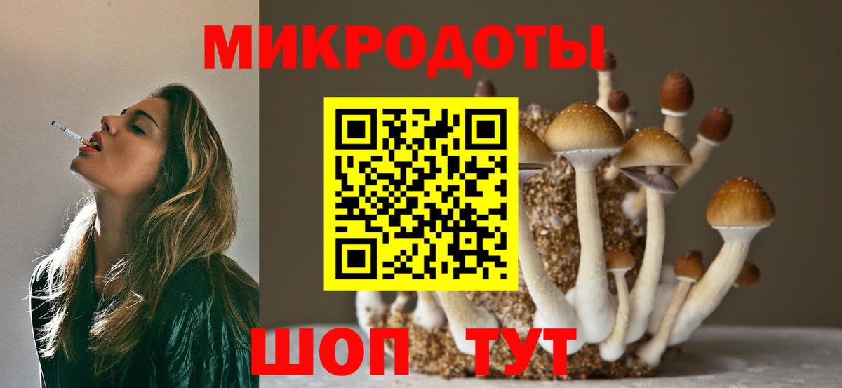 Псилоцибиновые грибы прущие грибы  Вход с VPN  Галлюциногенные грибы Psilocybine cubensis  Полысаево 